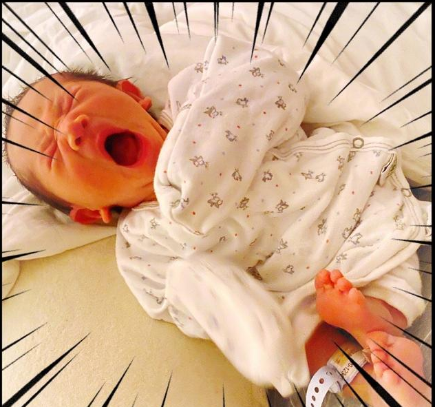 陈小春六一晒二娃照、爆英文名，弟弟表情“狰