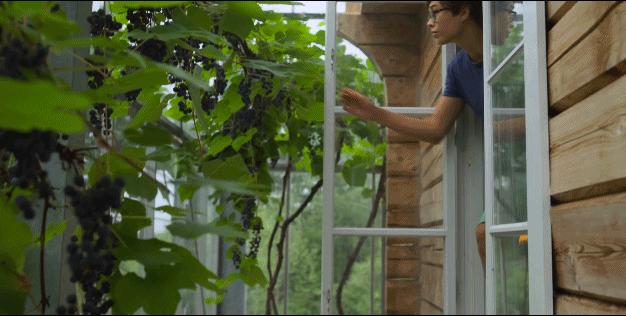 瑞典夫妻花12年为自闭症儿子建了座玻璃城堡：所