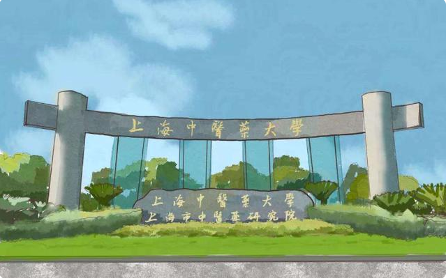 三个学科位列全国第一！上海这所小而精院校为何没有入选211？