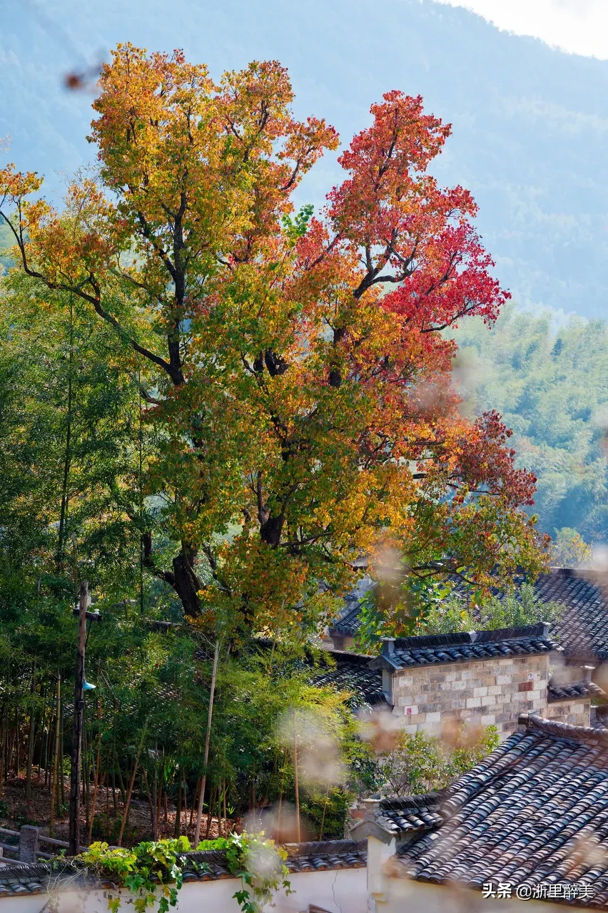 10 ancient towns with beautiful autumn colors, if you are tired, go to stay for a few days