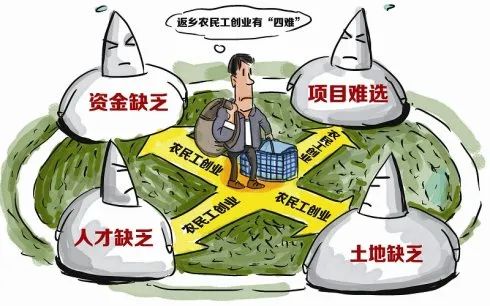 自主创业时代，你的农业创业计划可行吗？