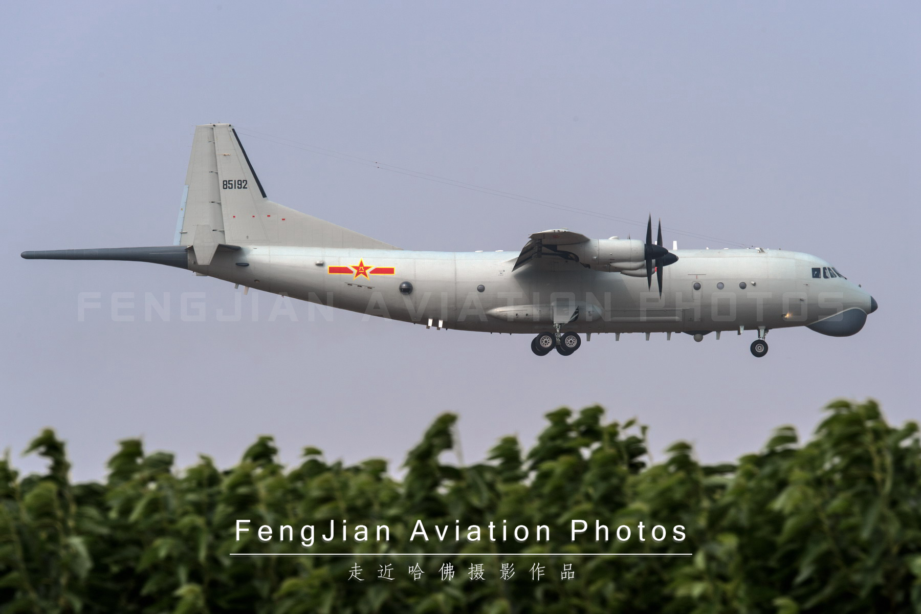 人民海军新“捕鱼大队”亮钢叉，专捕大黑鱼！未来需要200架