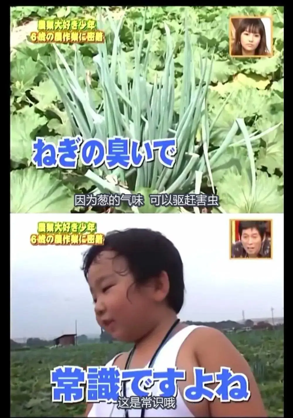 日本6岁小孩梦想是成为农民，长大后继续投身农