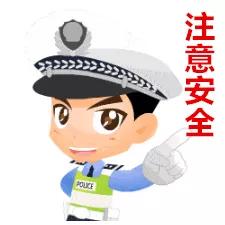 大河报汽车网