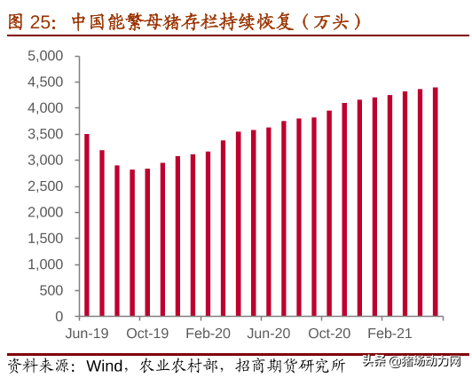 2021養(yǎng)豬業(yè)年中盤點(diǎn)：一大事件，兩大政策，三大趨勢