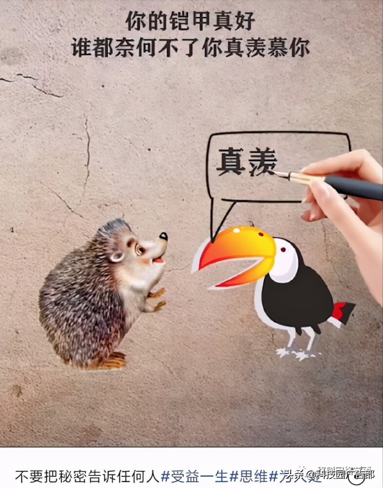 7种不用出镜也能涨粉变现的视频号形式