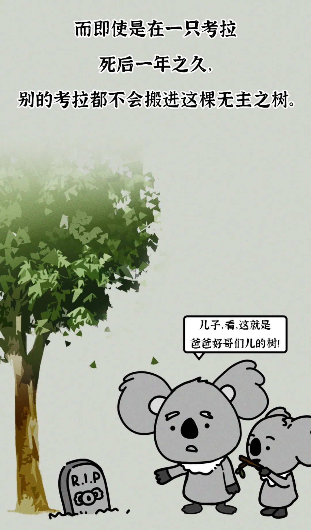 吃屎長大，一生嗑“毒”，這么萌的動物卻這么慘？