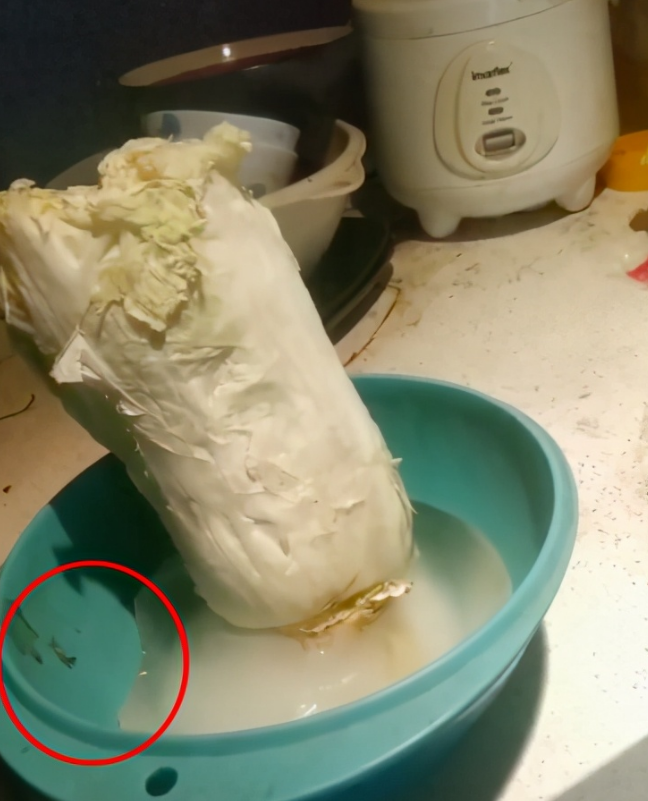 草根歌手阿宝近况落魄！厨房杂物乱堆霉斑横生