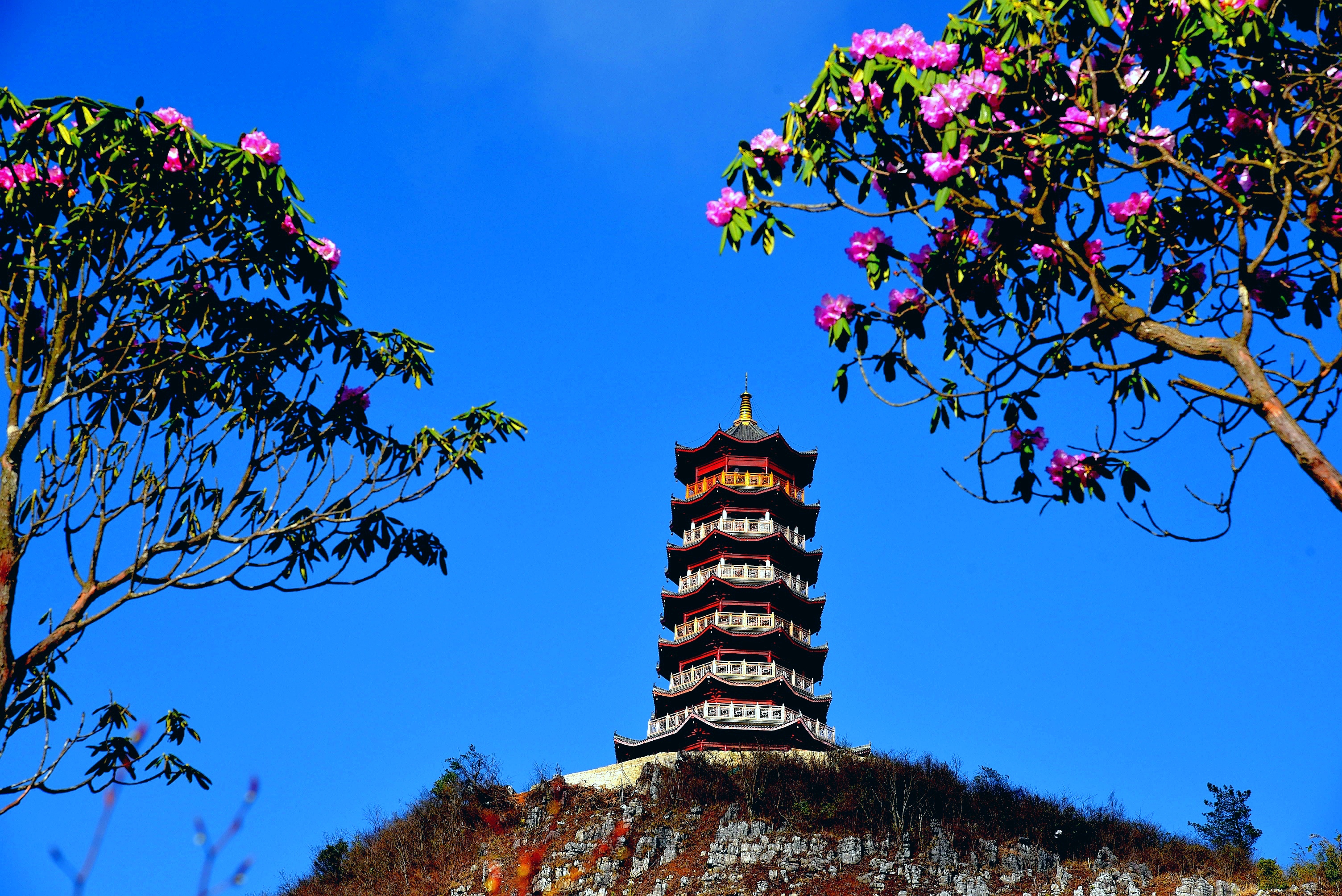 达州宣汉县旅游推荐会在重庆举行《梦回巴国》即将首演