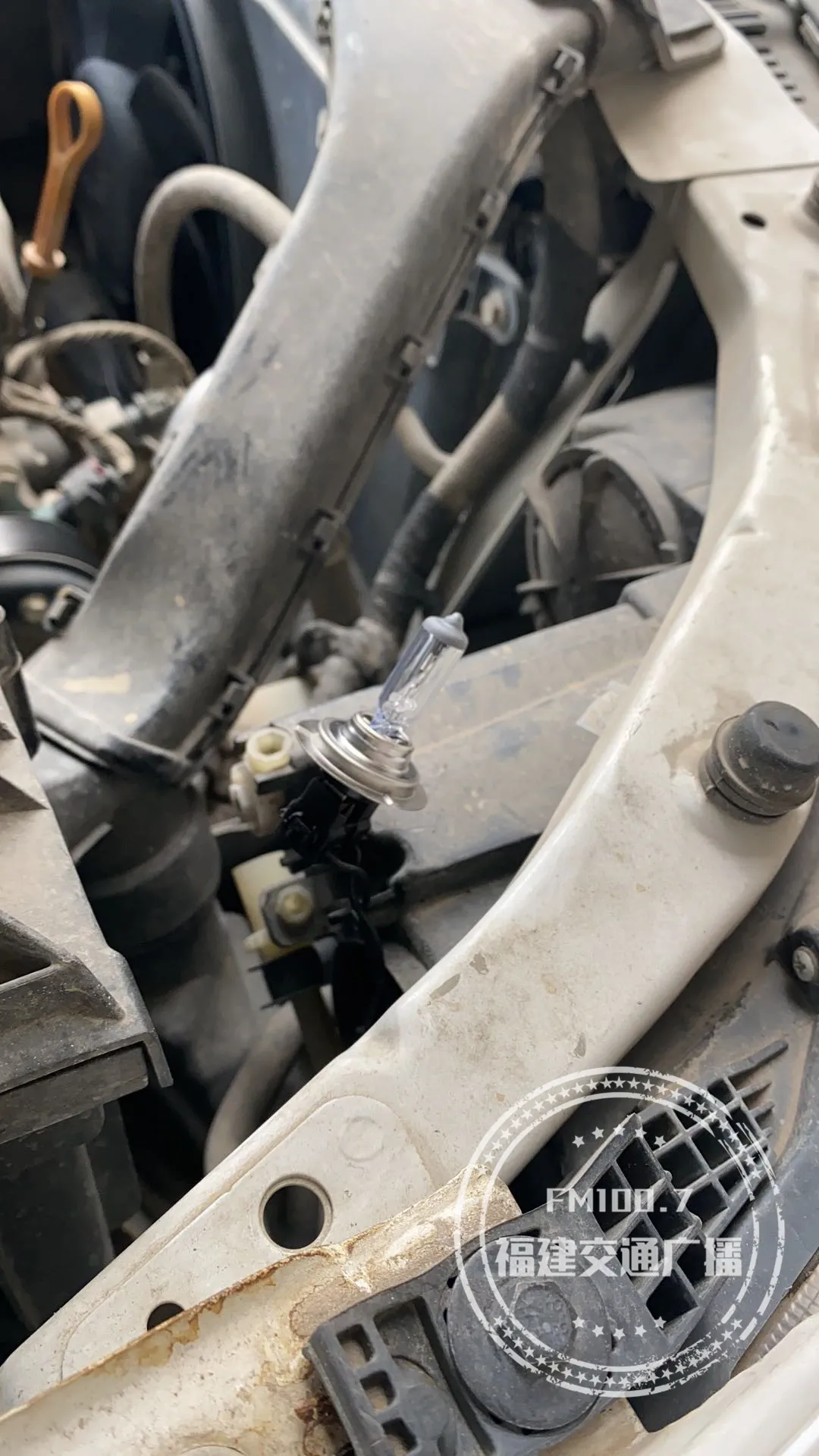 在首汽gofun租車 代墊的修車費 結果變成虛擬餘額 Fm1007福建交通廣播 Mdeditor