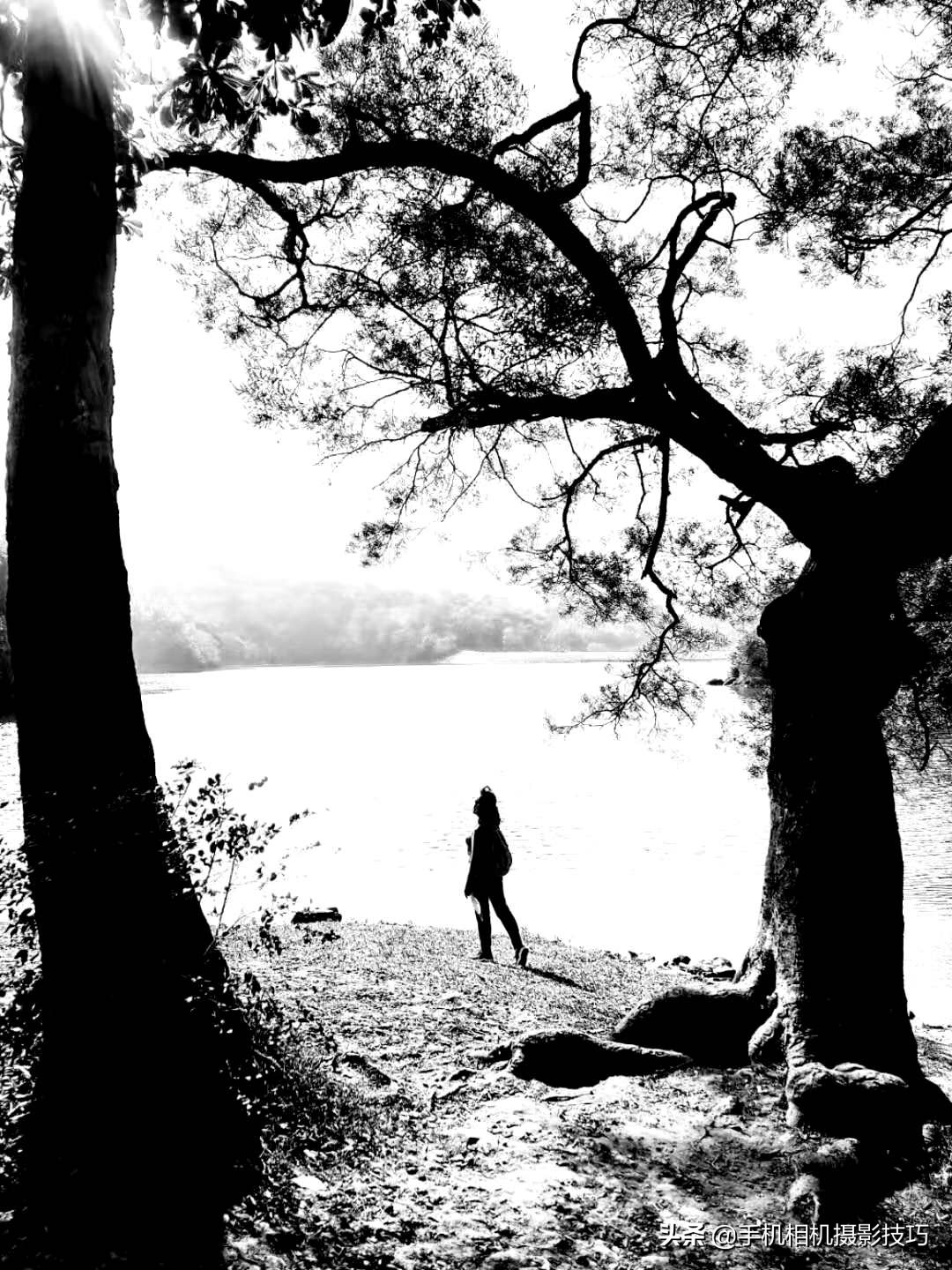 In the winter, what kind of photograph to pat to encircle market support more easily in the friend? These 16 pieces of photographs give you inspiration