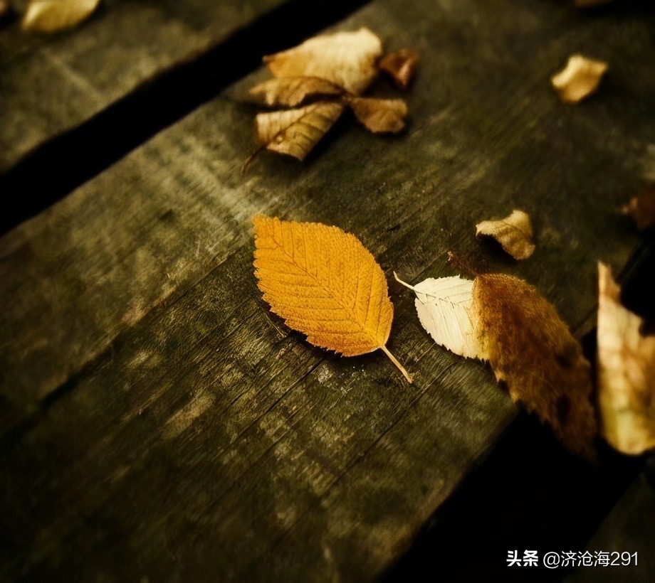 李清照一首小令，语言浅显，情感却至浓至厚-第3张图片-非凡网