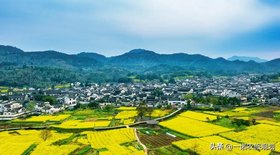 17个省39个村的调查，乡村振兴这么搞