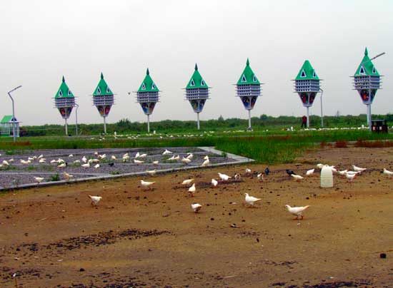 山东旅游：探寻黄河流入大海记（图）