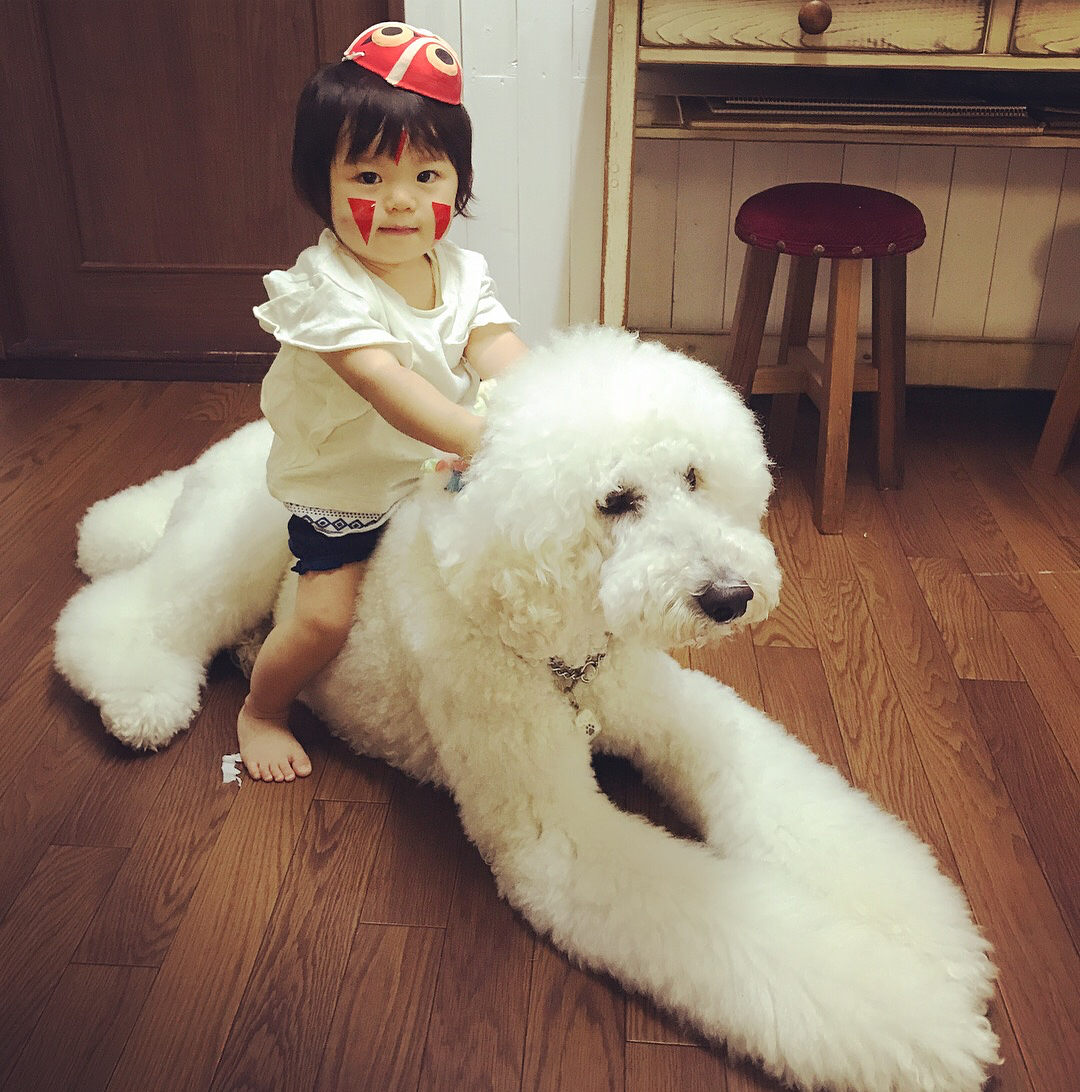 日本老太用贵宾犬给小女孩拍照，结果让你心都融化了