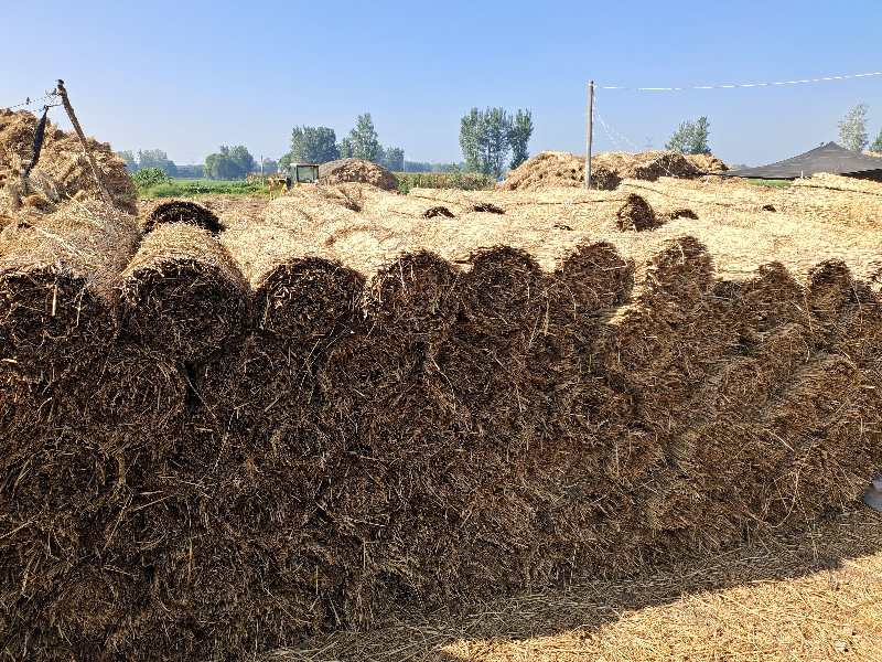 稻草|摄影师用镜头记录稻草帘、草绳制作全过程