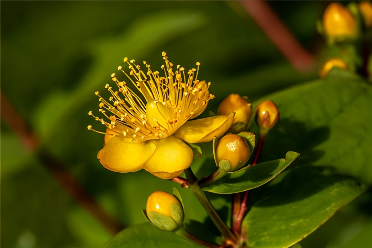 十二星座21年4月日今日運勢分析 北城雲旗 Mdeditor
