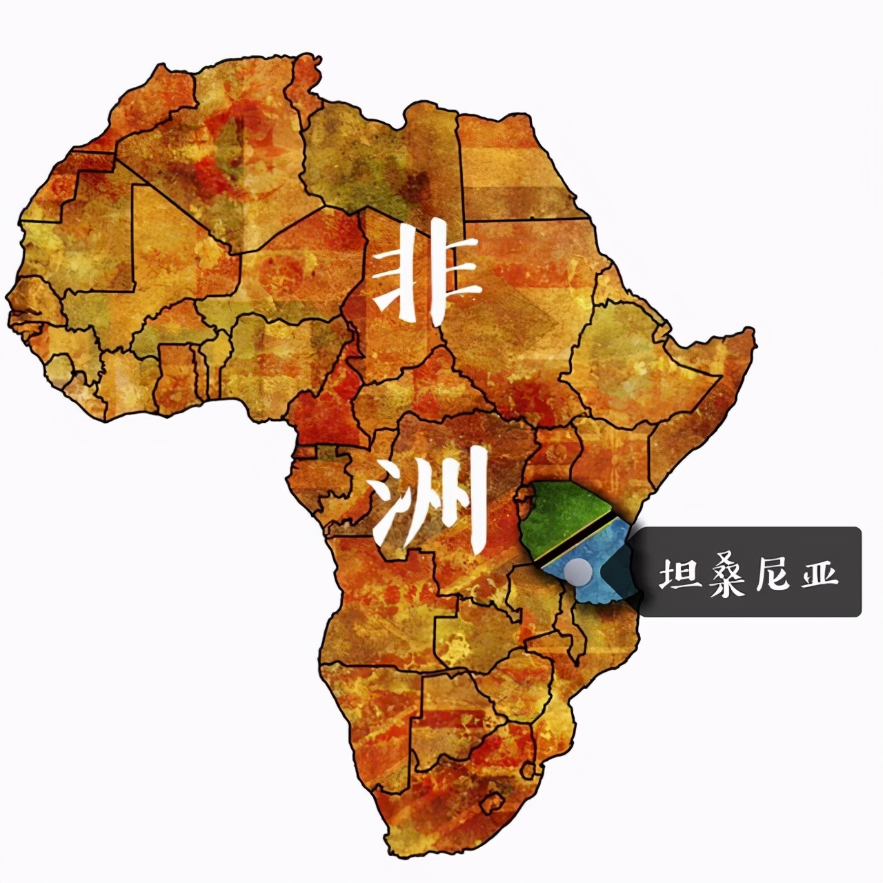 坦桑尼亚：通过中国军训的"东非解放军&quo