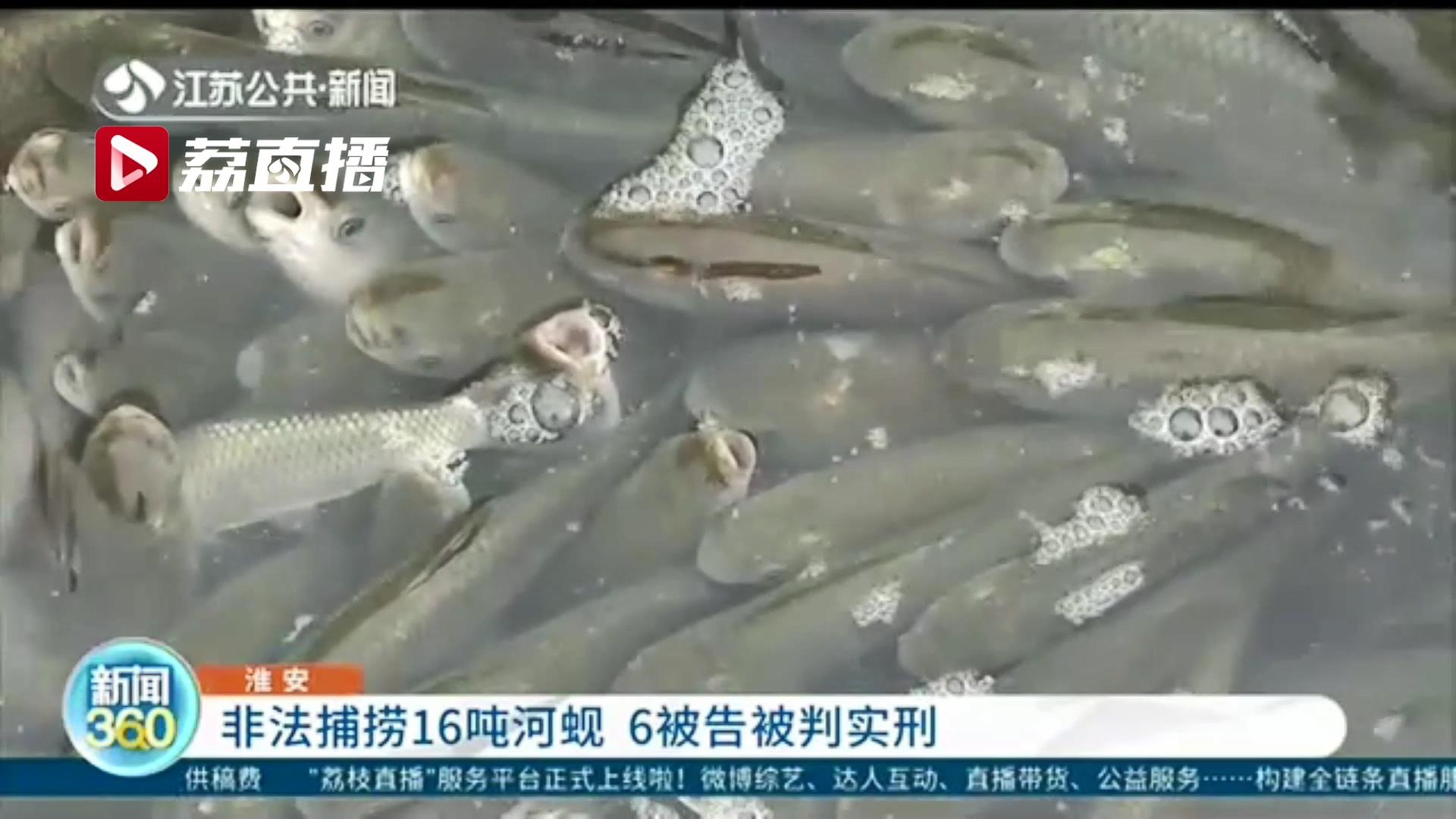 非法捕捞16吨河蚬 淮安六名被告被判刑并现场实施增殖放流活动