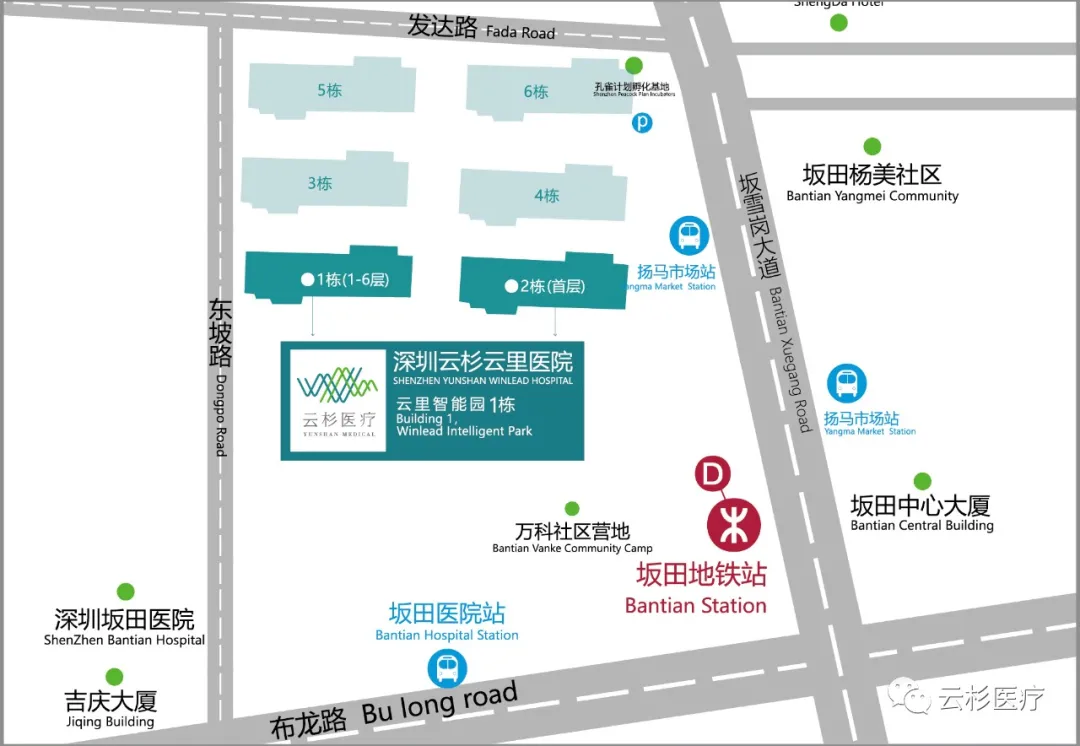 追求极致三十载,杏林春暖守初心——云杉医疗骨科专家王延斌教授