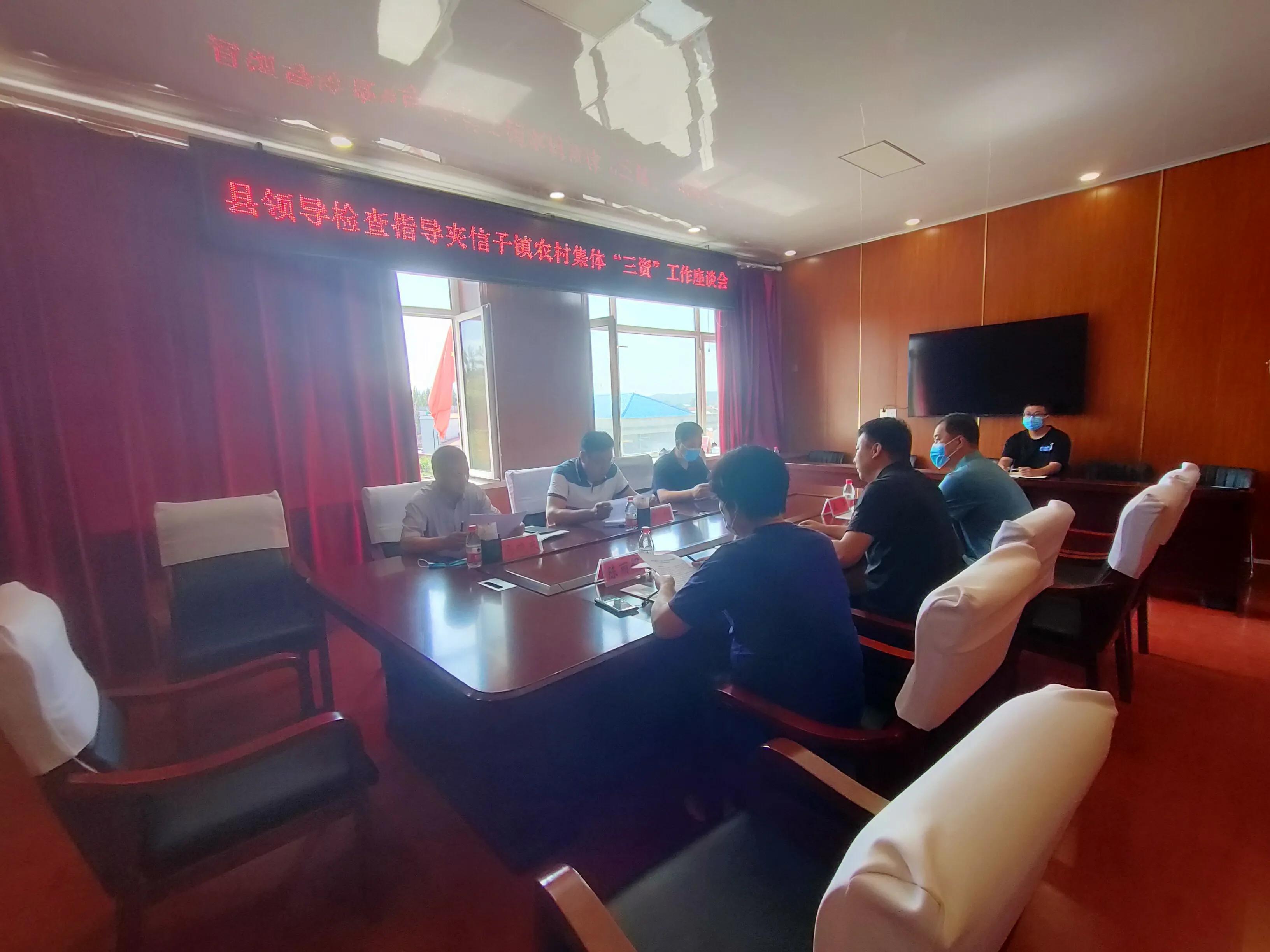 宝清县委常委、统战部部长、政法委书记沙闯一行到夹信子镇检查指导农村集体“三资”清理工作