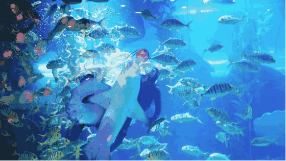 你好，“李焕英”们 ！青岛海底世界“女神节”倾情上映！