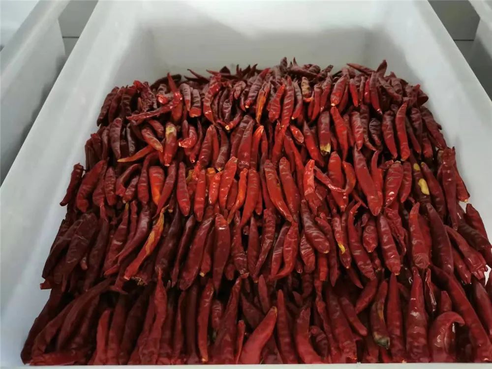 兵哥哥的炊事班里有多整齐？青菜辣椒就忍了，