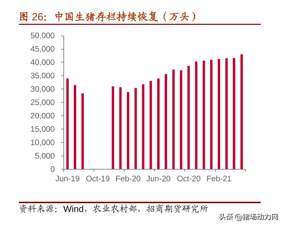 2021養(yǎng)豬業(yè)年中盤點(diǎn)：一大事件，兩大政策，三大趨勢