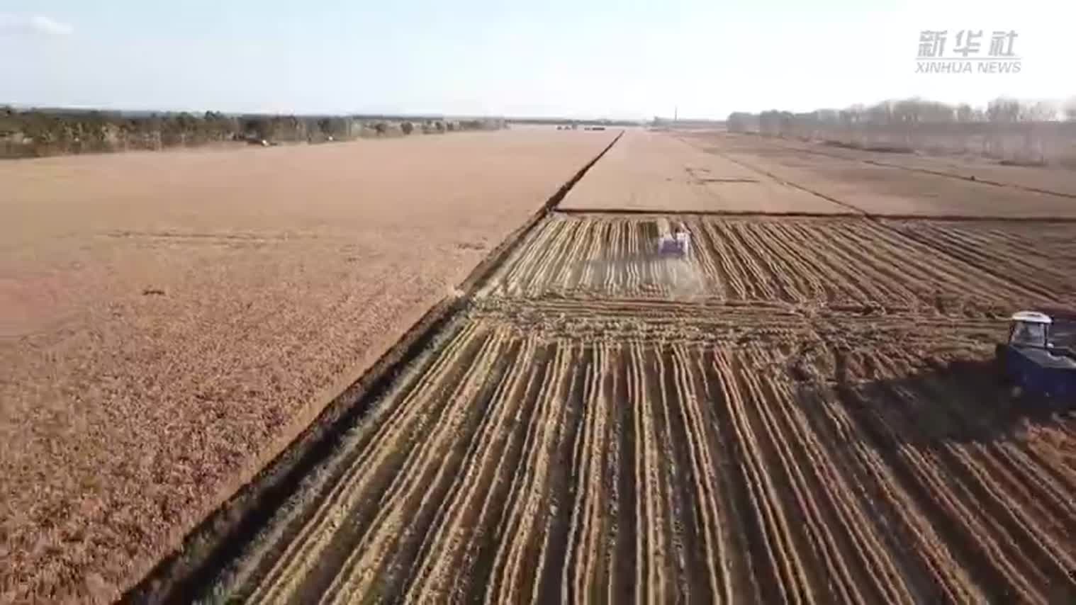 �й���ʳΣ�������������ڱ�ƣ�ǧ���궫������50������ʧ