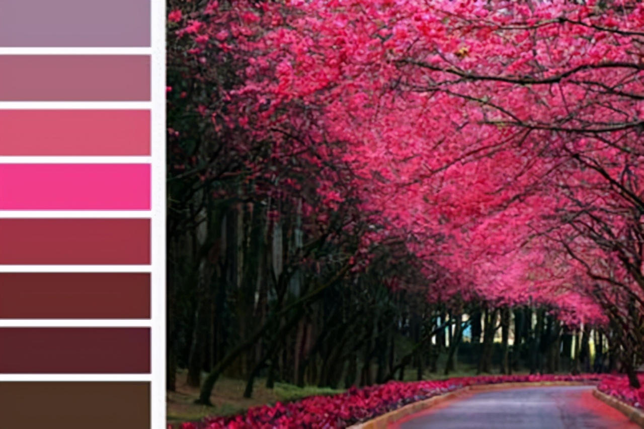 春天该如何运用色彩搭配，才不会被环境淹没，并且显雅致与时尚