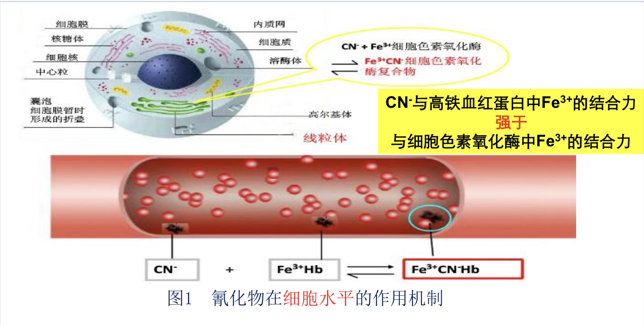 贵州小区多只狗狗被毒死，这是什么毒药？有多毒？曾有人用来杀人