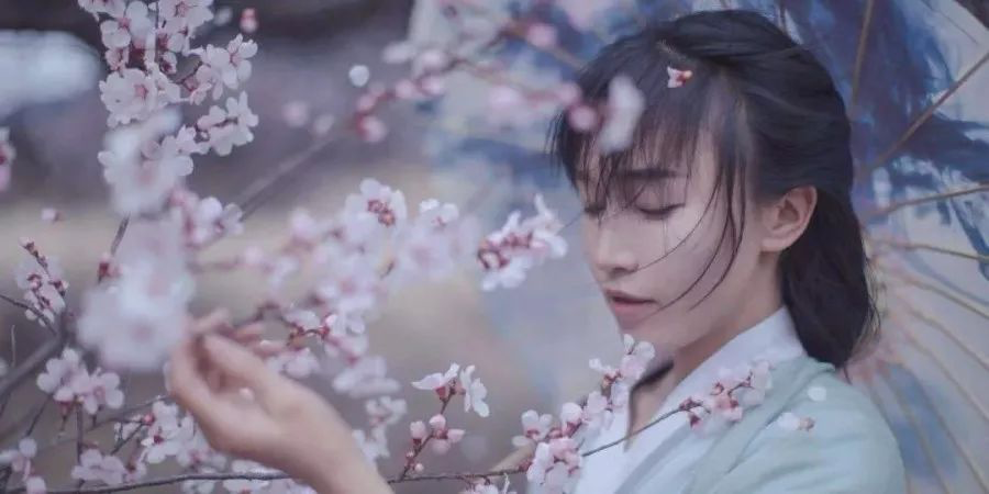 网红李子柒和国家院士袁隆平一起“获奖”？李