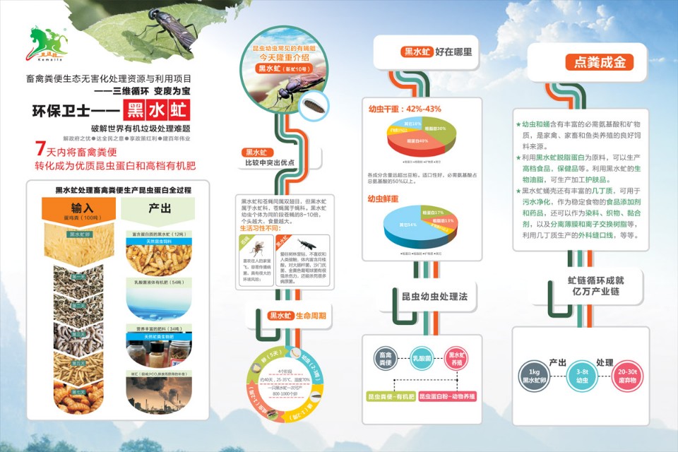 王泽铺利用黑水虻养殖搭建的三维循环农业的核心是什么？