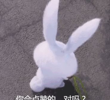 贾静雯穿玫红色西装还像少女一样美丽，网友：被宠出来的