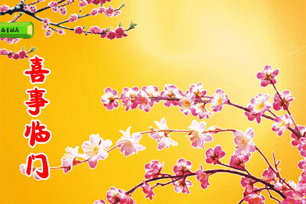 迎喜|大年初四迎喜神,吉祥喜鹊送给你 祝亲友一整年喜上眉梢喜事连连