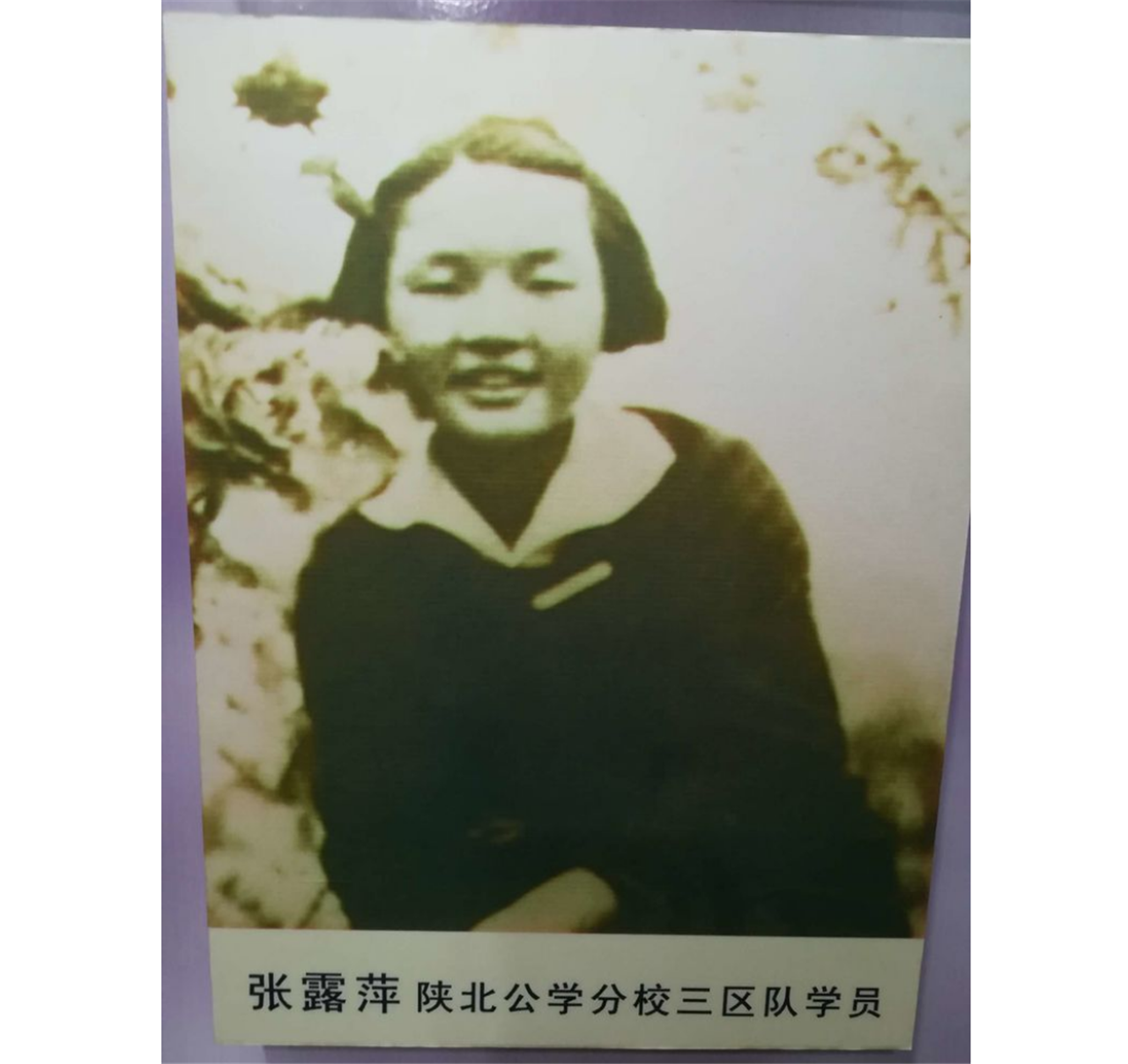 张露萍：18岁潜伏戴笠身边，身份暴露后受尽酷刑，24岁牺牲