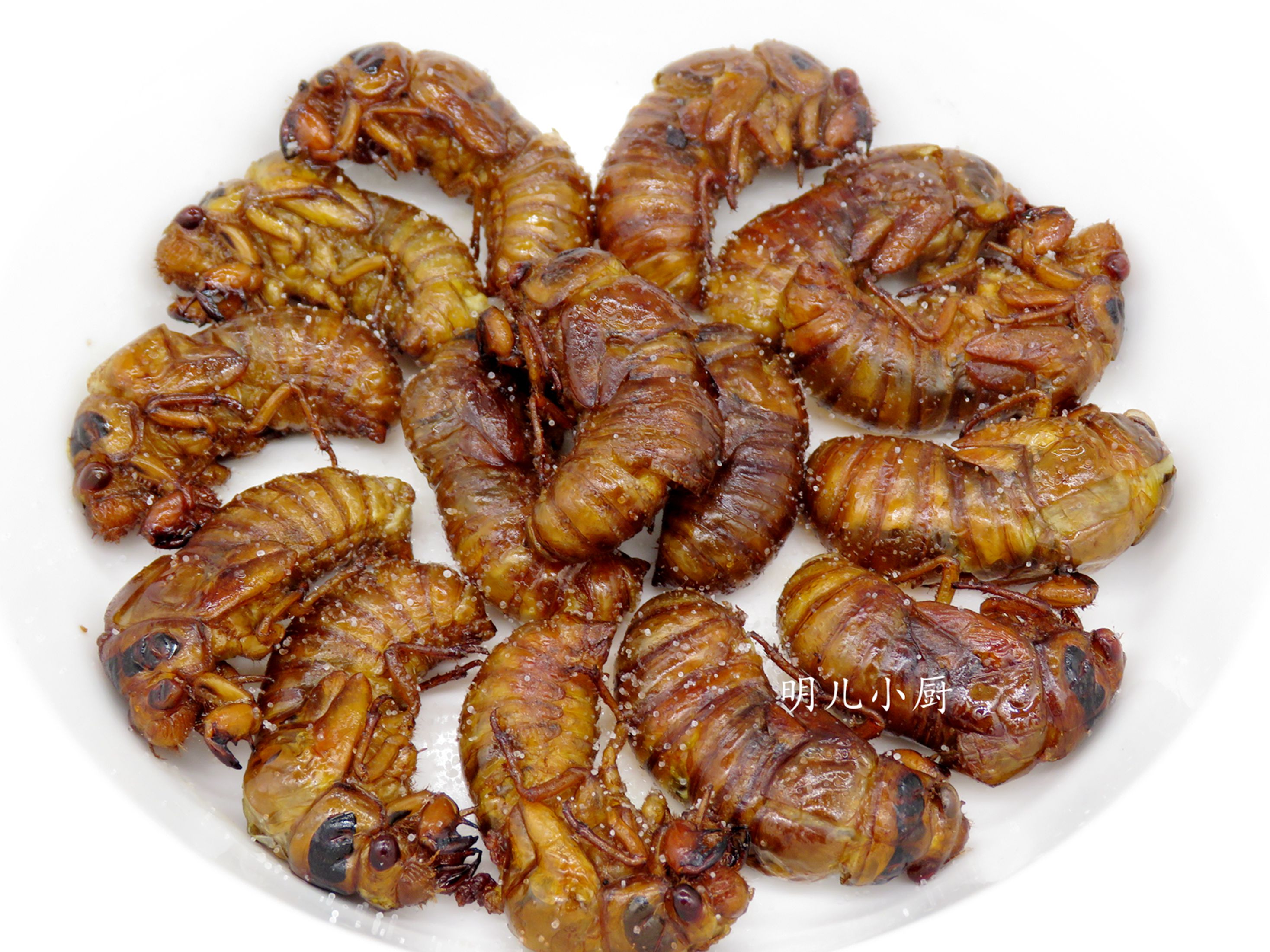 知了猴怎么做好吃知了猴最好吃的做法