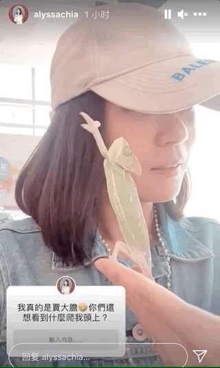 賈靜雯曬咘咘在脖子上掛兩條蛇人美膽大，女漢子波妞卻不淡定了