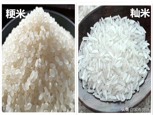 米类的认识，大米、小米、香米、西米、黄米、薏米别再傻傻分不清