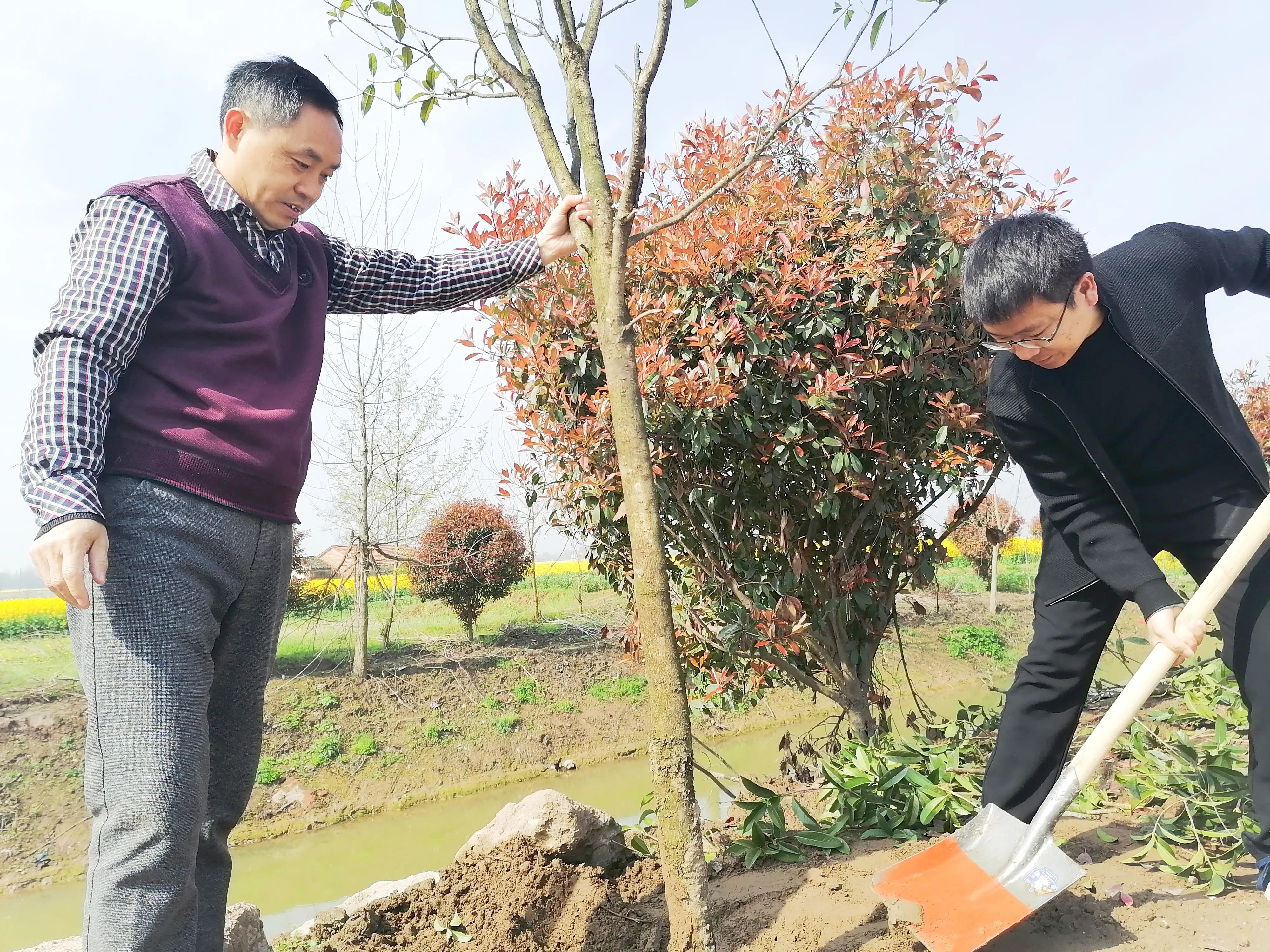 [3.12植樹節]  柘木鄉組織開展植樹節植樹活動