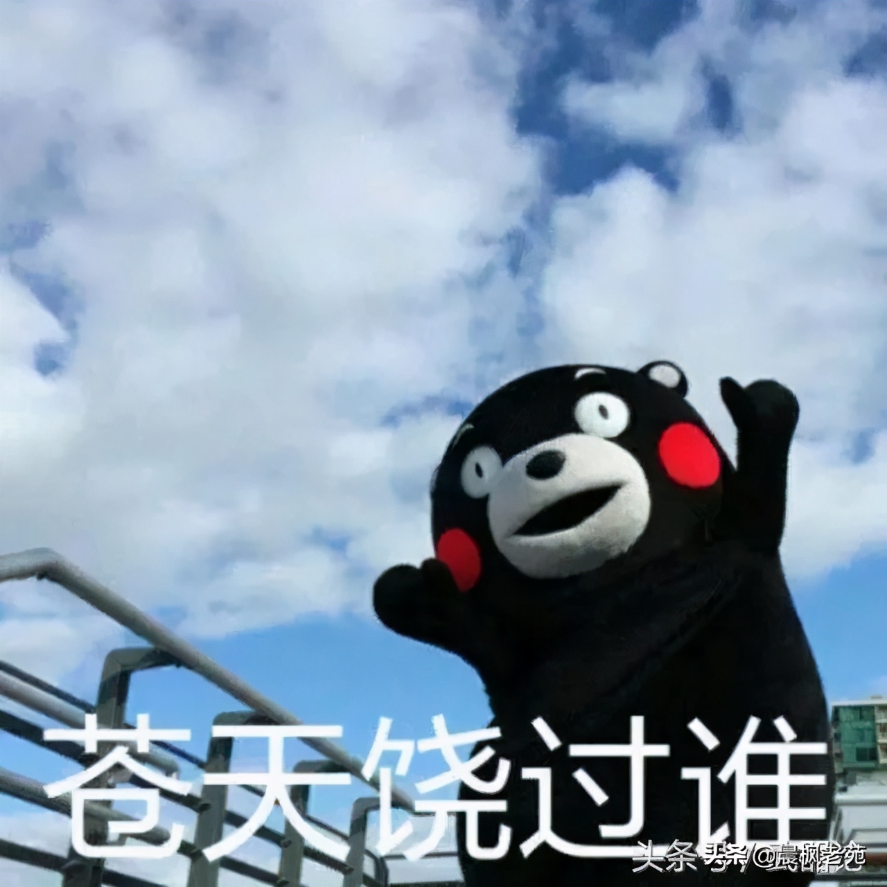 中美摔杯为号，要一起对互联网巨头动手了