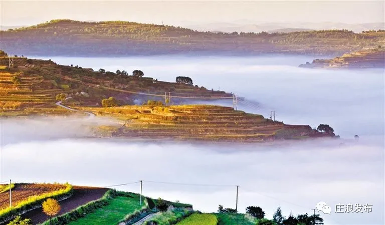 【庄浪县】初秋时节来庄浪，看百万亩梯田绝美风光！