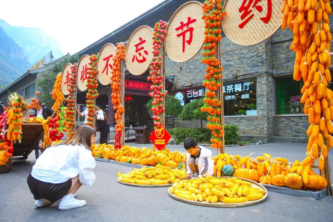 云台山货丰收节盛大开幕！免费尝！放肆购！你想要的都在云台山