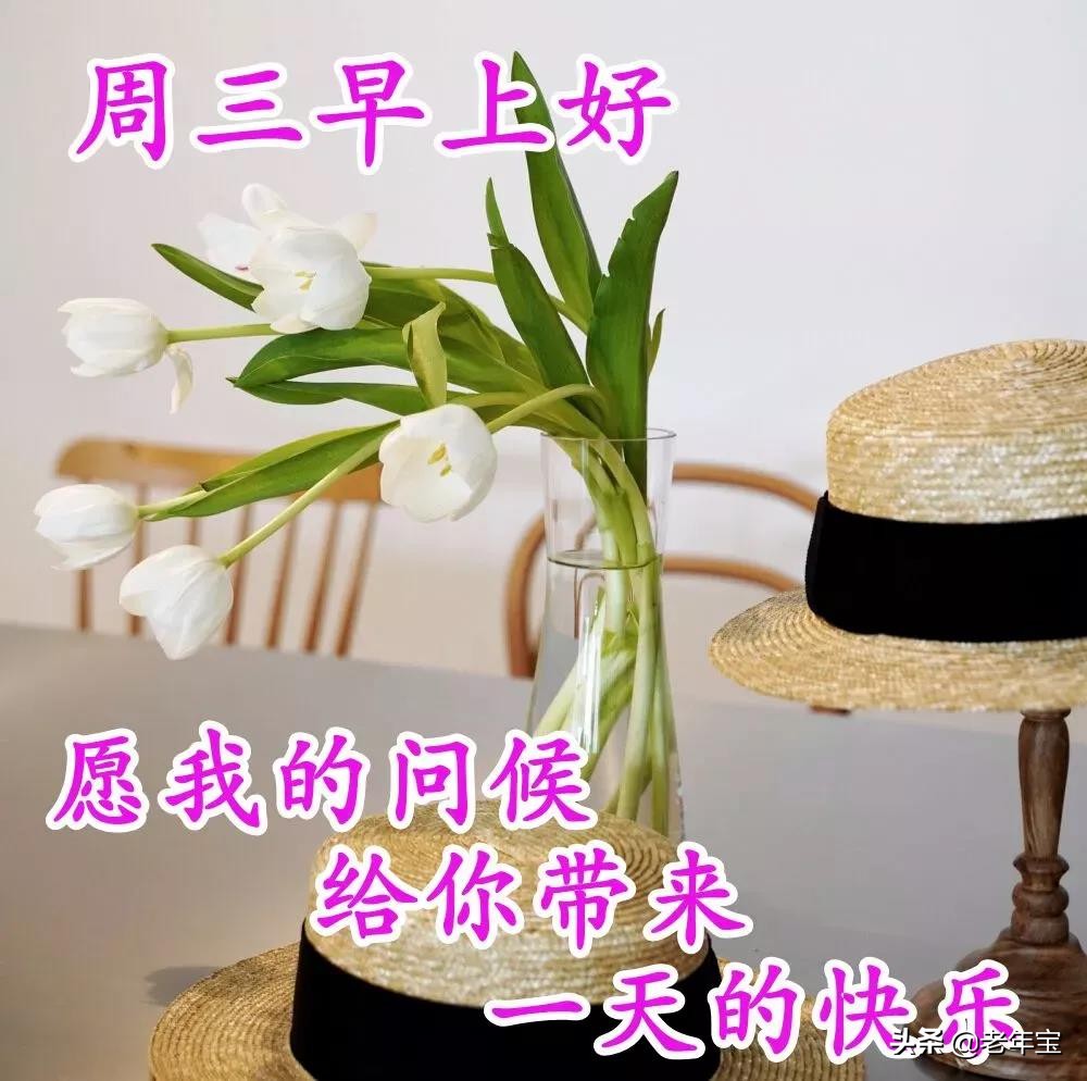 最新周三早上好表情图片  周三早上好问候语图片图片