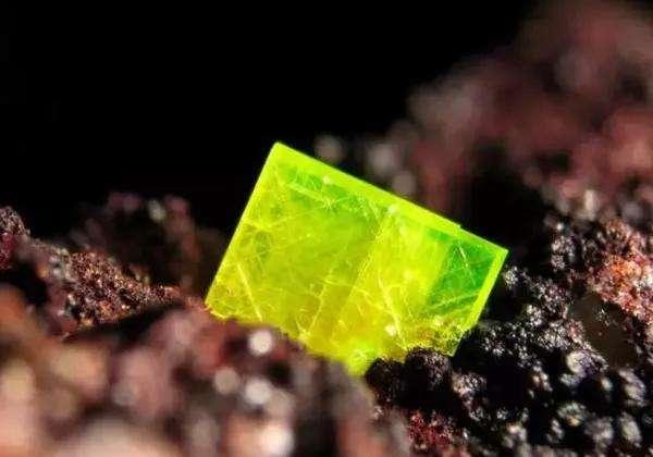 �ĺ˵���Ϊʲô�˵��ı��������Ƚ϶̣�����������ô����ģ�