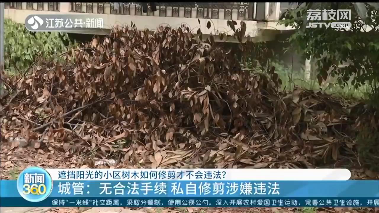 小区树木可以随意修剪砍伐吗？城管：无合法手续，私自修剪涉嫌违法