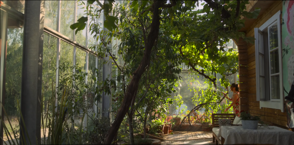 瑞典夫妻花12年为自闭症儿子建了座玻璃城堡：所