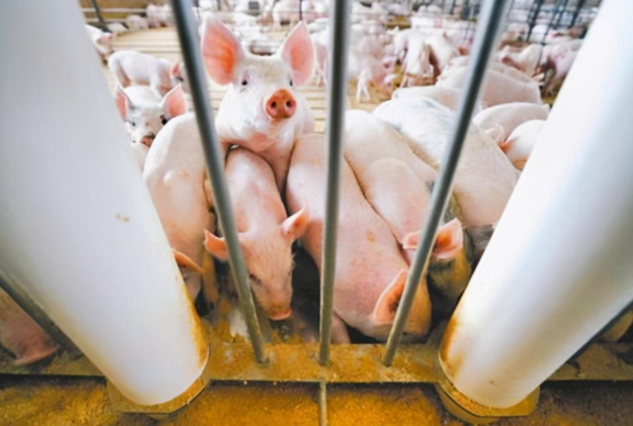 蔡英文終於要出面，於北辰曝出驚人內幕