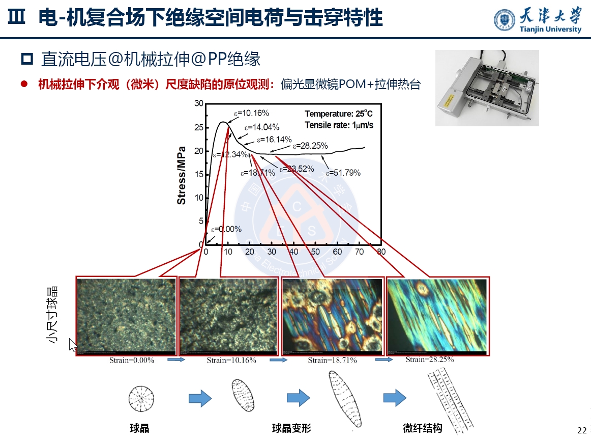天大李忠磊副教授：多物理场下直流电缆绝缘电荷输运与击穿特性