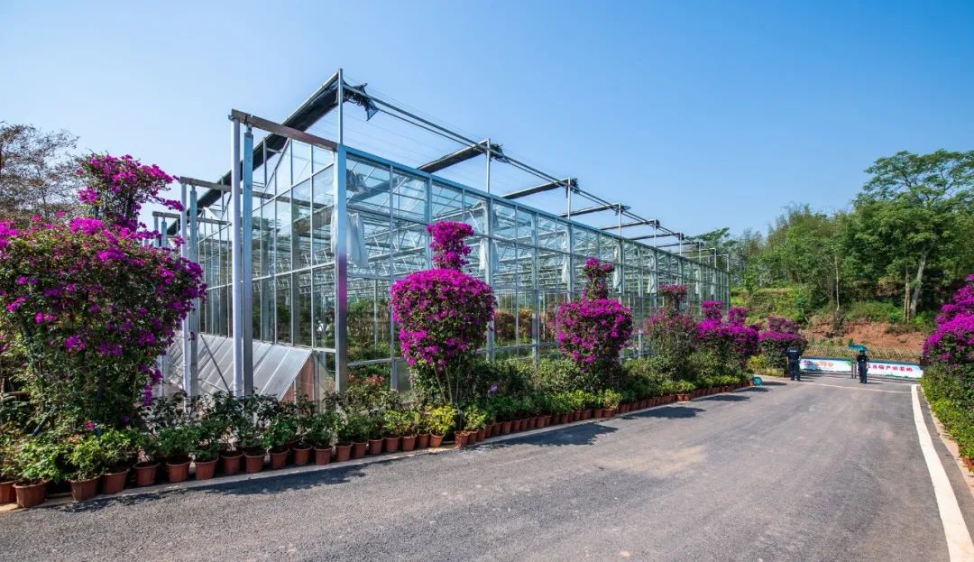 铜梁.龙乡绿道：在巴岳玄天下延展超级步行重庆的新可能性